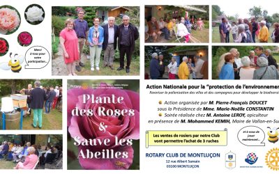 Plante des roses & sauve les abeilles